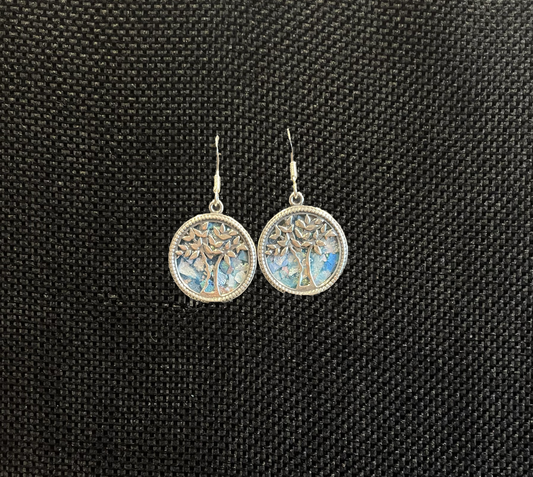 Silver Roman Glass Earrings